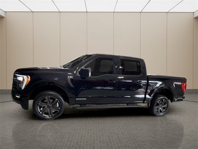 used 2023 Ford F-150 car, priced at $36,995
