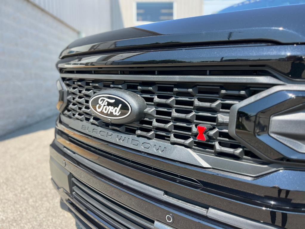 new 2025 Ford F-150 car, priced at $107,709