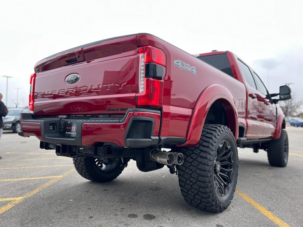 new 2025 Ford F-250 car, priced at $115,616