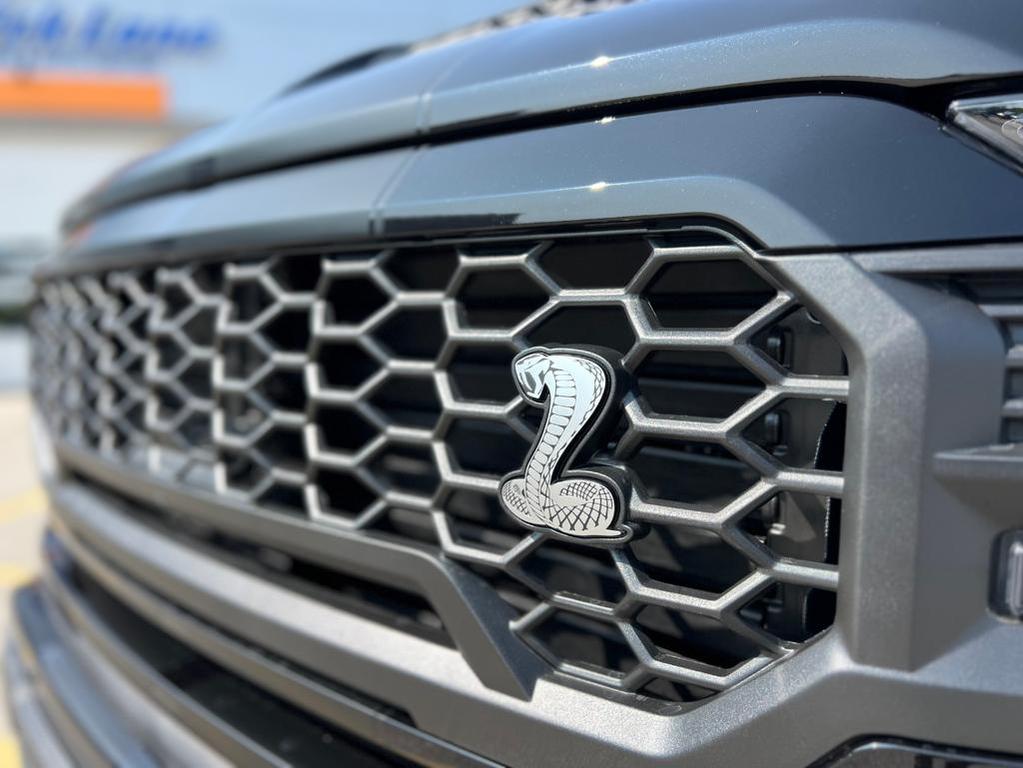 new 2025 Ford F-150 car, priced at $135,220