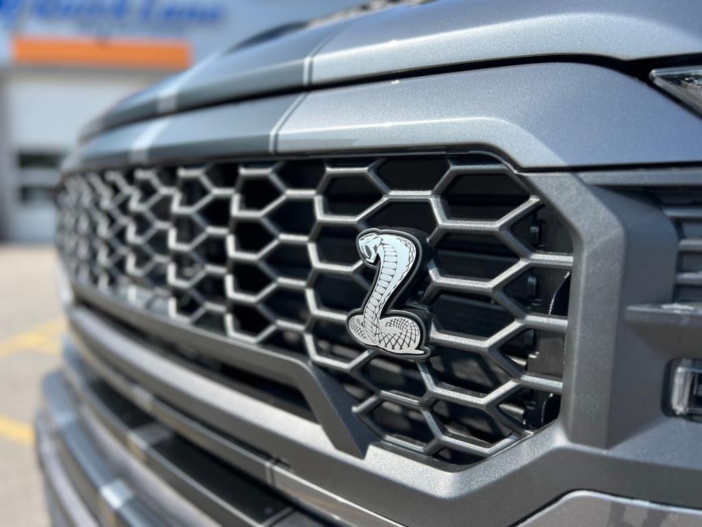 new 2025 Ford F-150 car, priced at $135,220