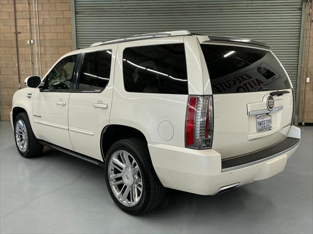 used 2014 Cadillac Escalade car, priced at $24,855