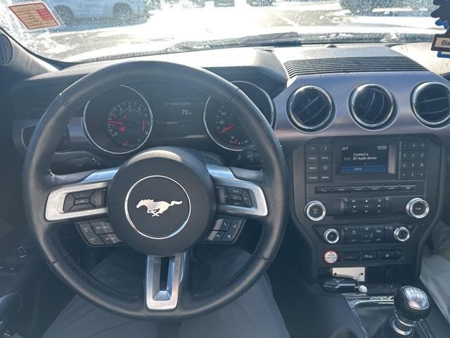 used 2017 Ford Mustang car, priced at $17,000