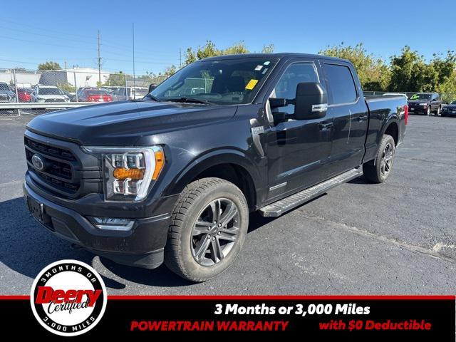 used 2021 Ford F-150 car