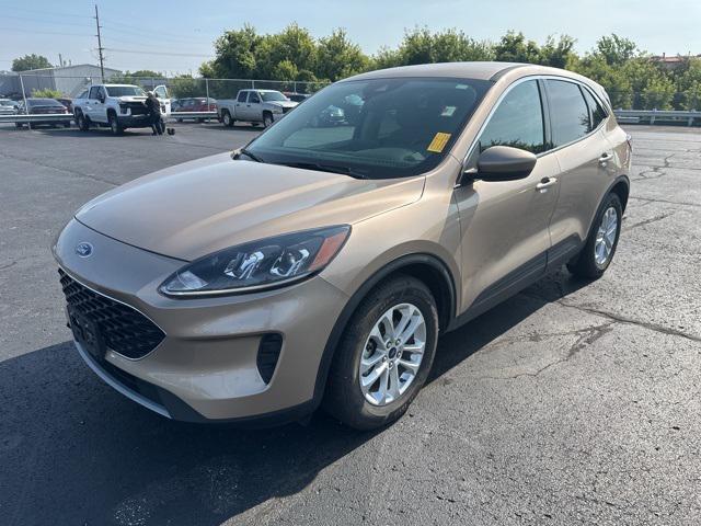 used 2020 Ford Escape car