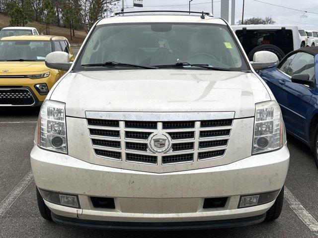 used 2010 Cadillac Escalade car