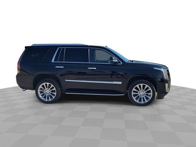 used 2019 Cadillac Escalade car, priced at $34,887