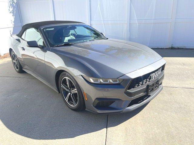 used 2024 Ford Mustang car, priced at $34,490