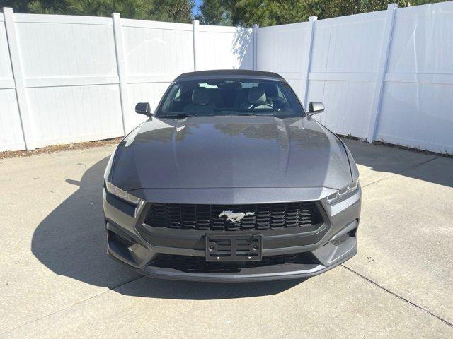 used 2024 Ford Mustang car, priced at $34,490