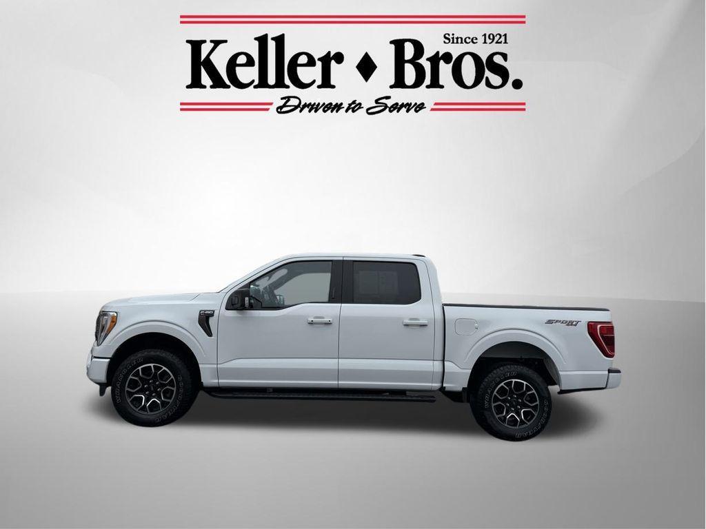 used 2021 Ford F-150 car, priced at $43,924