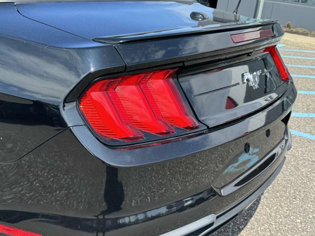 used 2020 Ford Mustang car, priced at $18,990