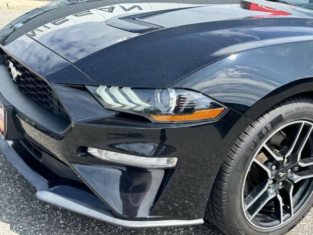 used 2020 Ford Mustang car, priced at $18,990