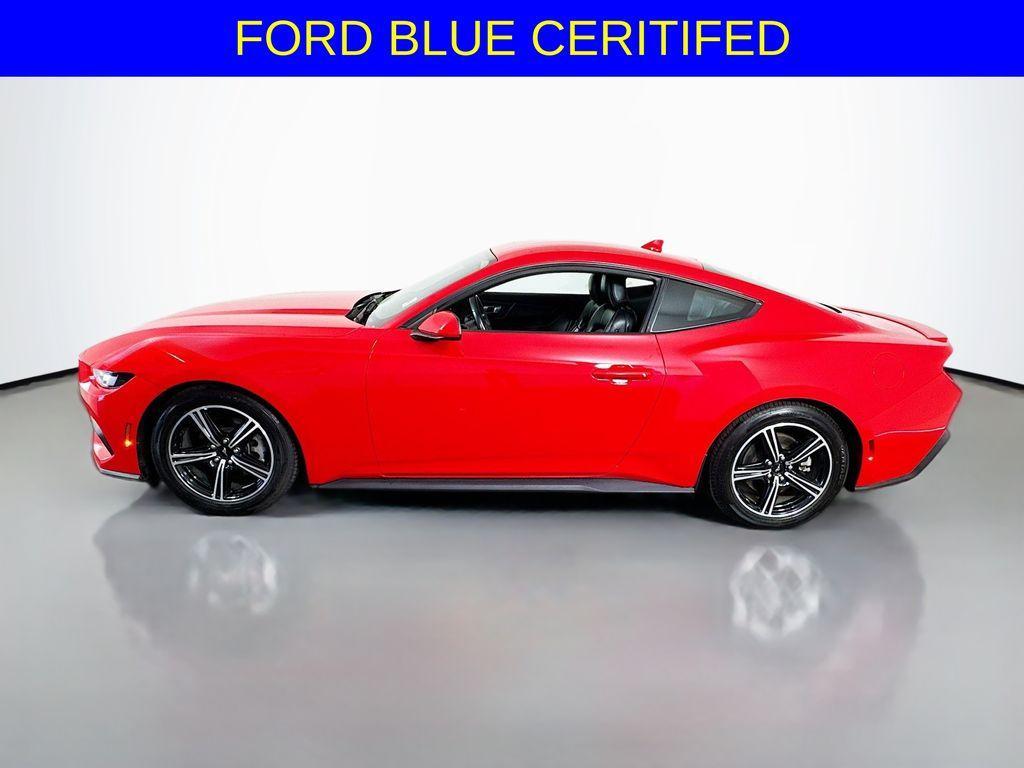 used 2024 Ford Mustang car, priced at $31,380