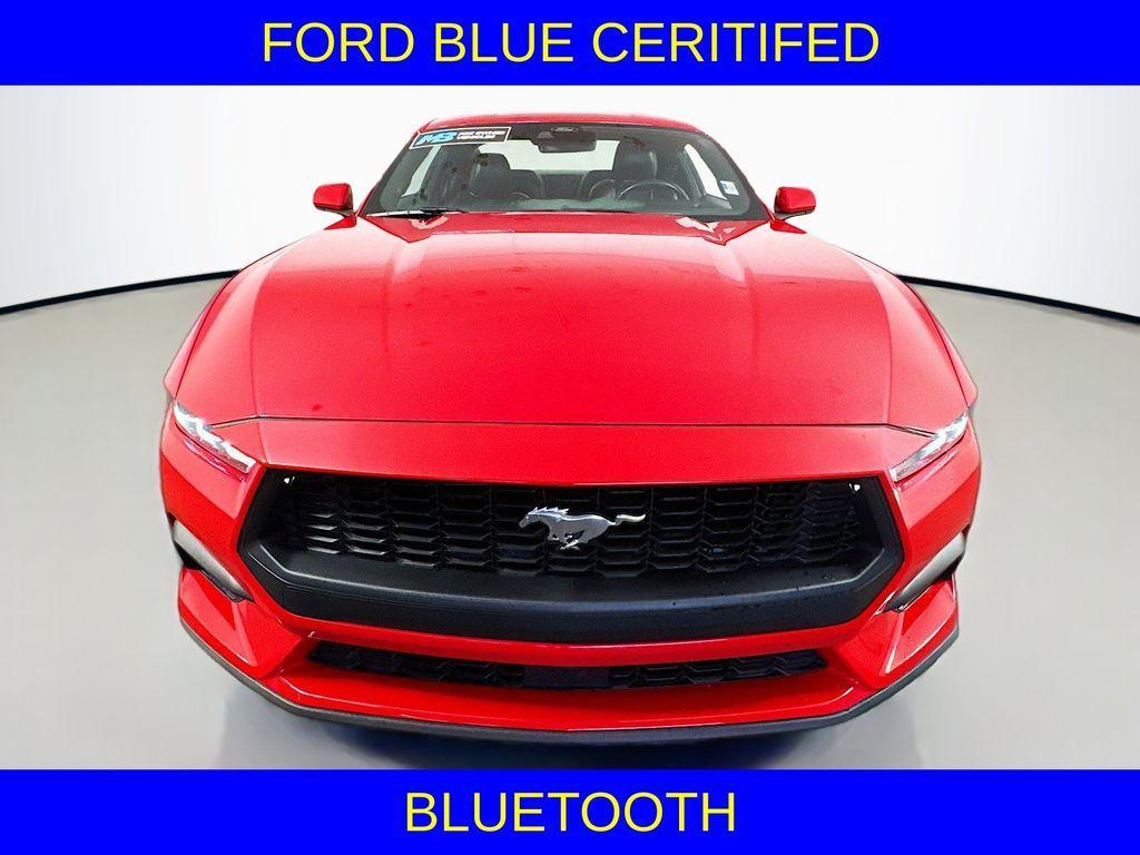 used 2024 Ford Mustang car, priced at $31,380