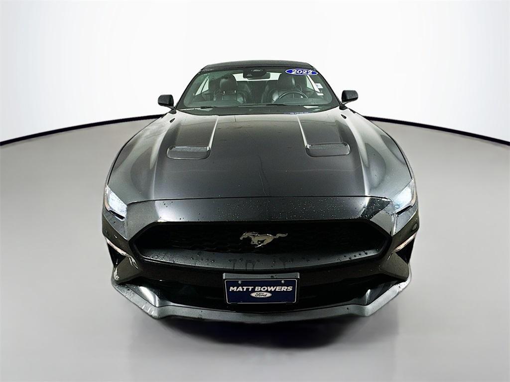 used 2022 Ford Mustang car, priced at $21,699