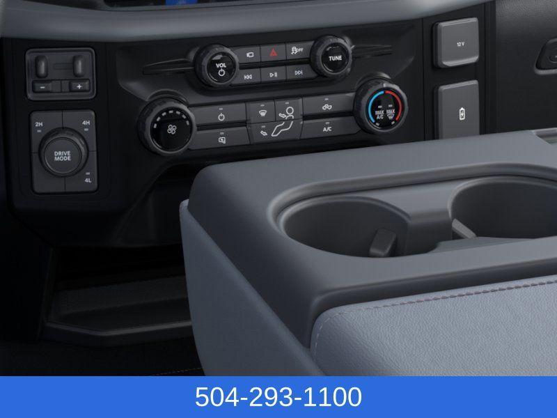new 2025 Ford F-150 car