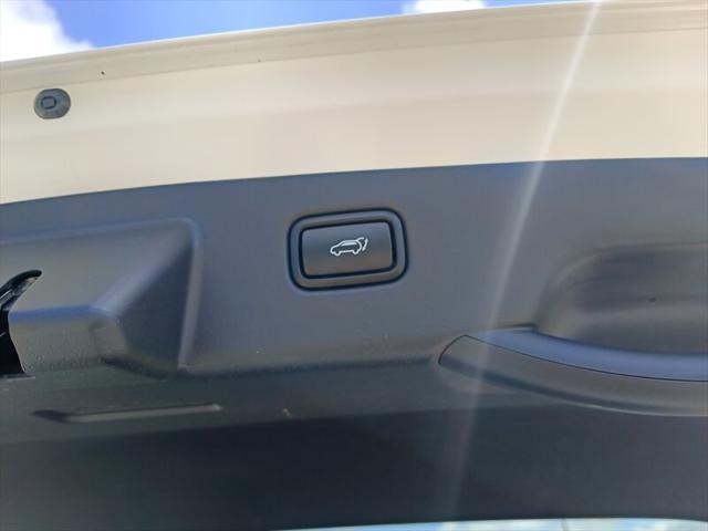 used 2024 Kia Niro EV car, priced at $21,888