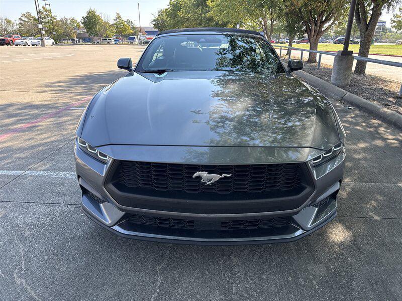 used 2025 Ford Mustang car, priced at $33,888