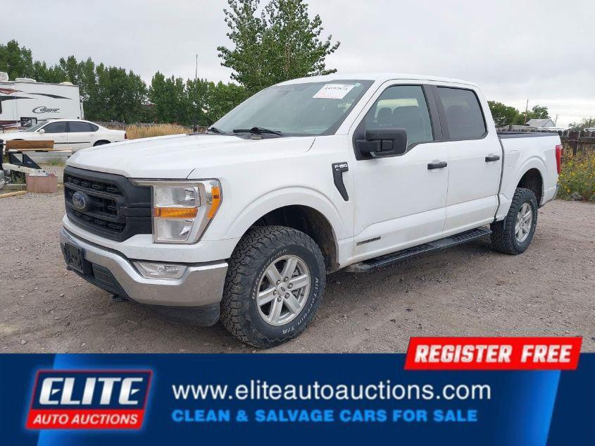 used 2022 Ford F-150 car