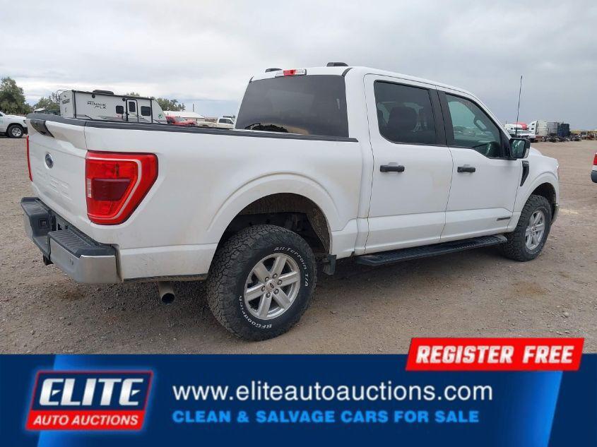 used 2022 Ford F-150 car