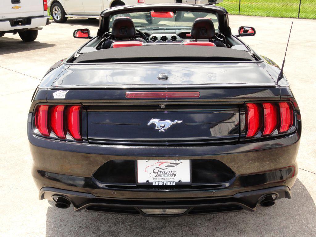 used 2019 Ford Mustang car, priced at $19,995