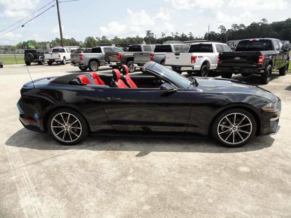 used 2019 Ford Mustang car, priced at $19,995