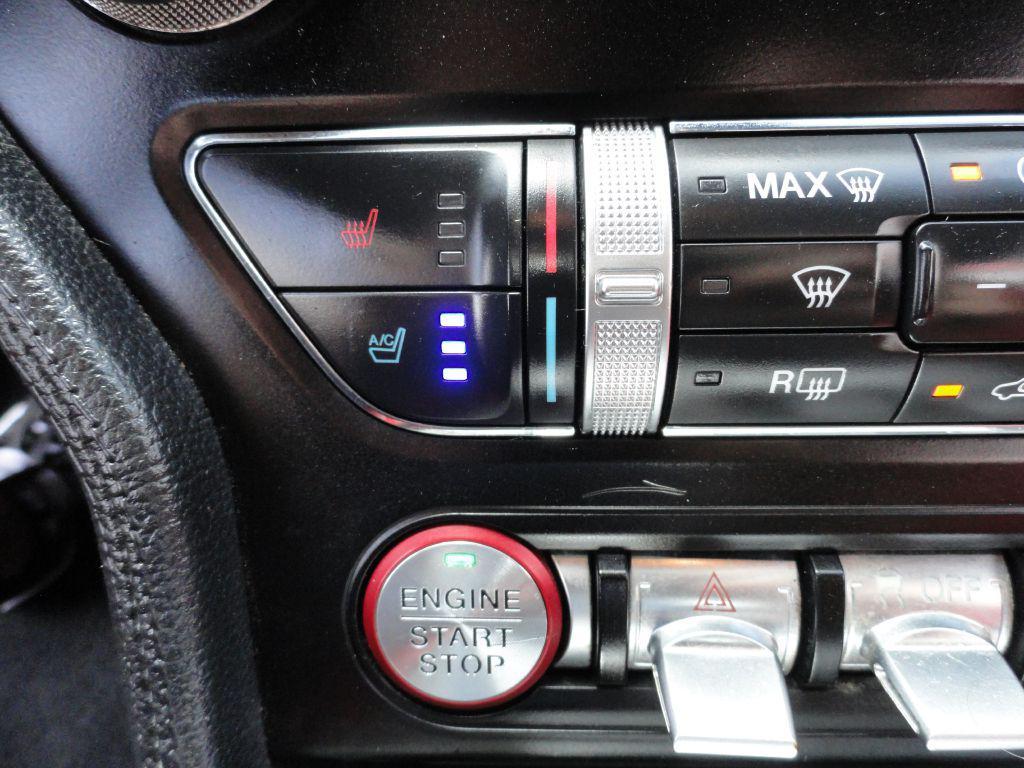 used 2019 Ford Mustang car, priced at $19,995