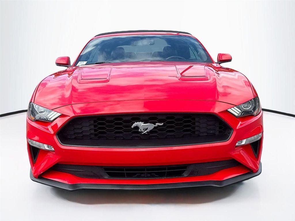 used 2019 Ford Mustang car, priced at $12,800