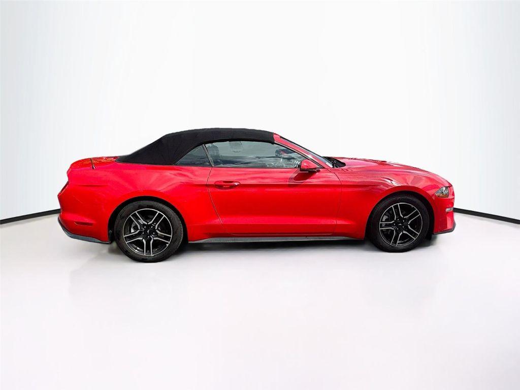 used 2019 Ford Mustang car, priced at $12,800