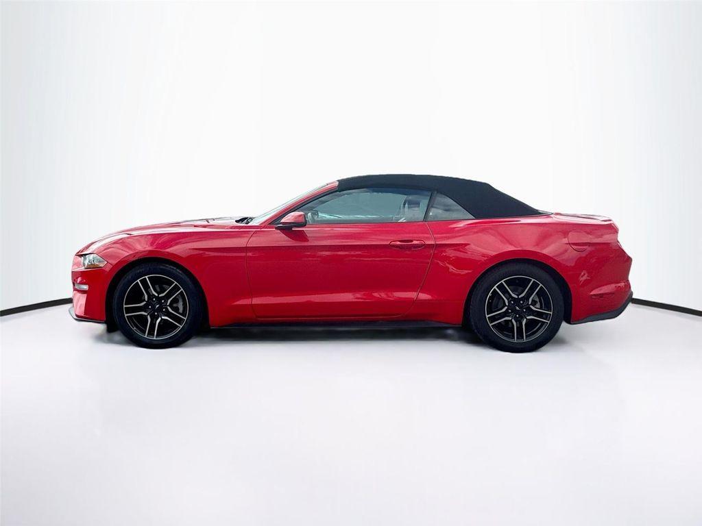 used 2019 Ford Mustang car, priced at $12,800