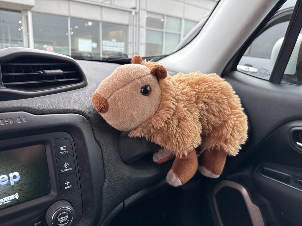 used 2016 Jeep Renegade car, priced at $4,000