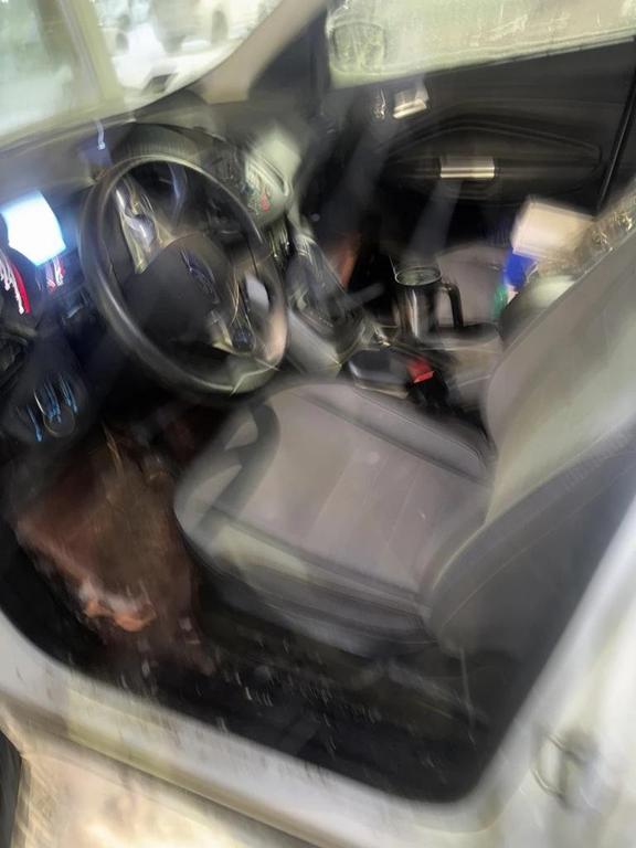 used 2016 Ford Escape car, priced at $9,000