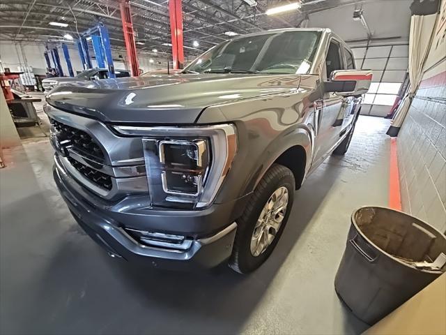 used 2023 Ford F-150 car, priced at $50,000