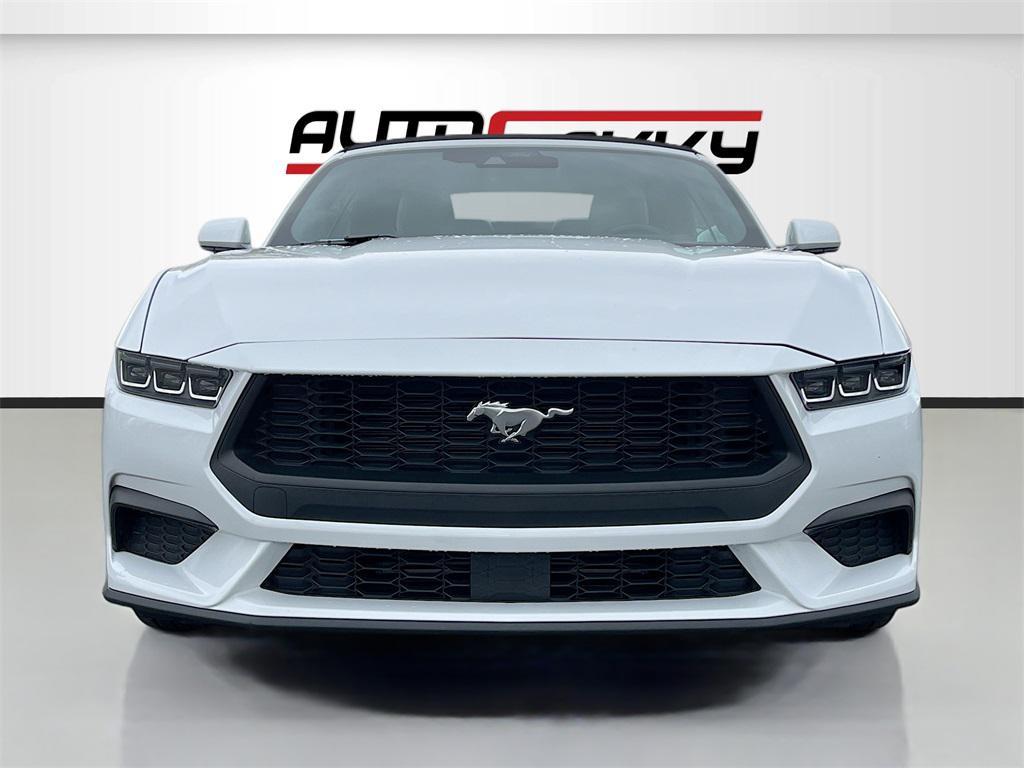 used 2024 Ford Mustang car, priced at $26,500