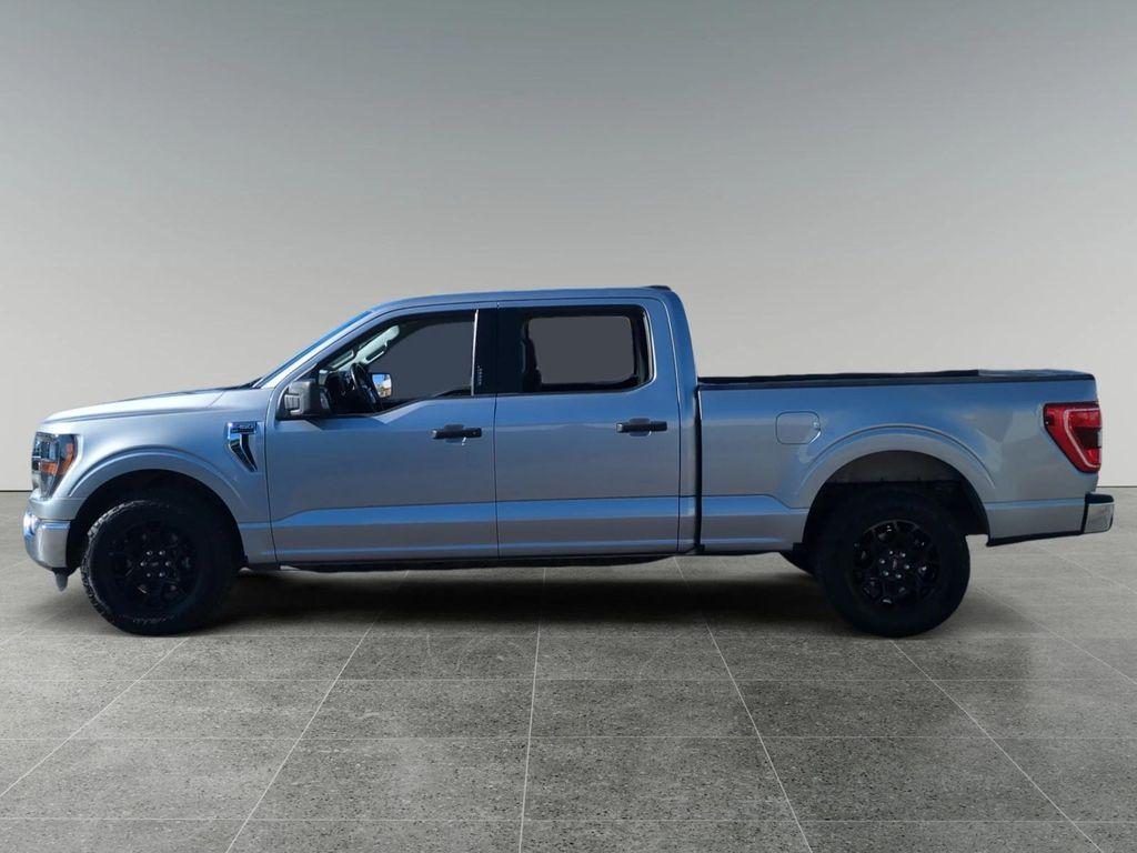 used 2023 Ford F-150 car