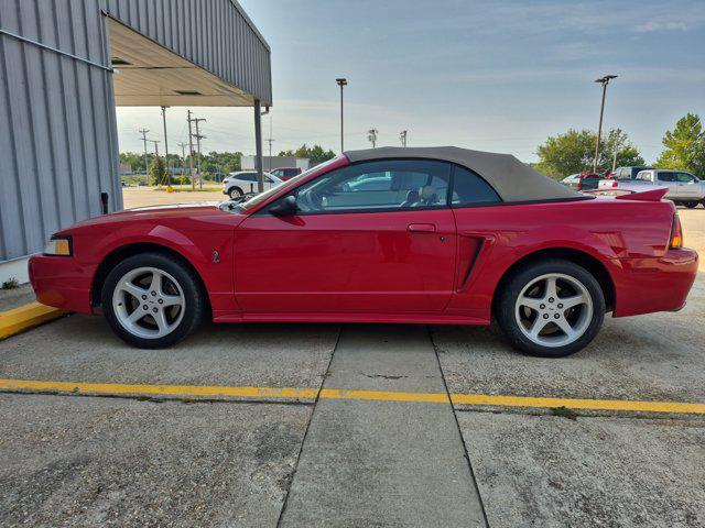 used 1999 Ford Mustang car
