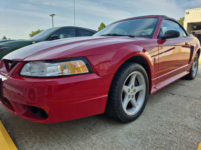used 1999 Ford Mustang car