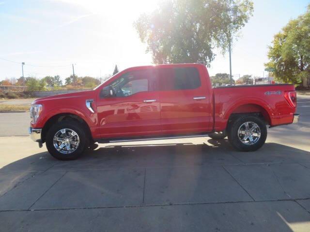 used 2022 Ford F-150 car, priced at $41,000