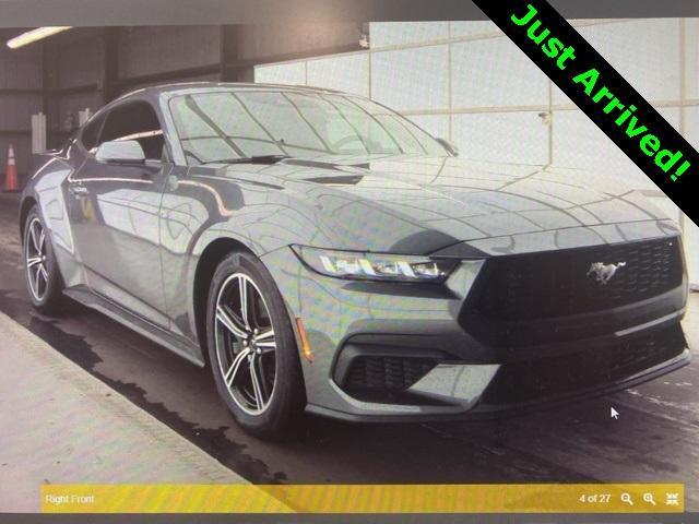 used 2024 Ford Mustang car