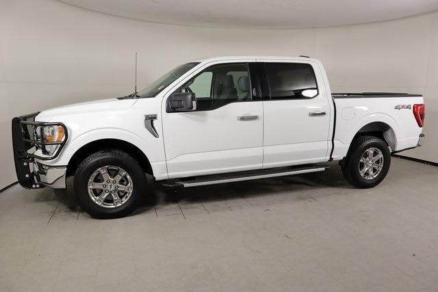 used 2023 Ford F-150 car