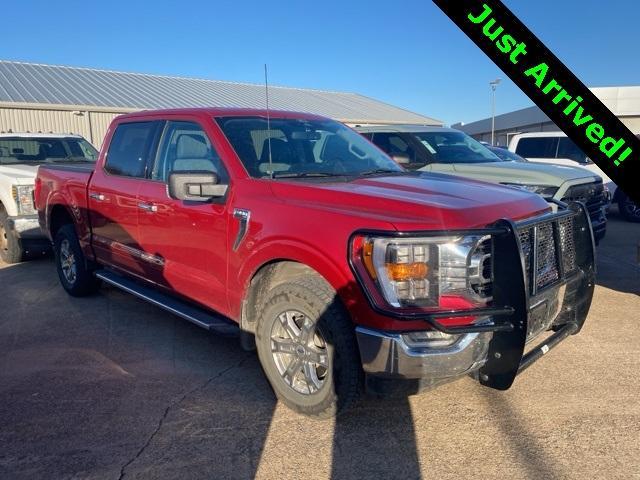 used 2022 Ford F-150 car