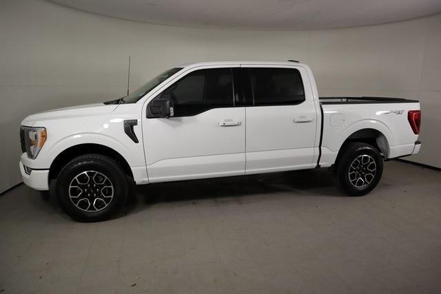 used 2023 Ford F-150 car