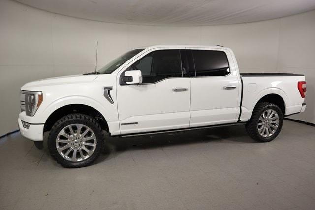 used 2023 Ford F-150 car