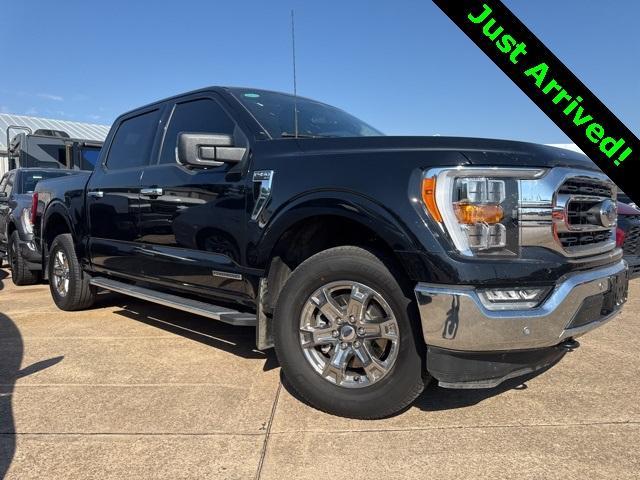 used 2023 Ford F-150 car