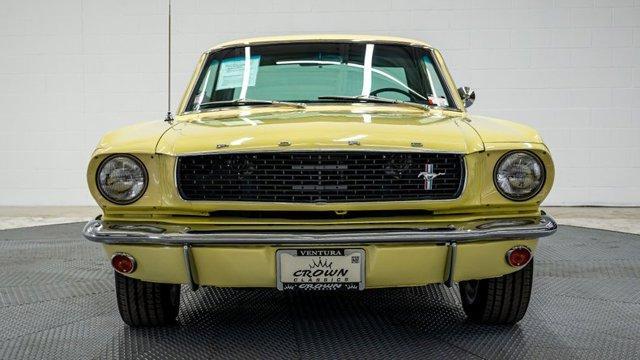 used 1966 Ford Mustang car