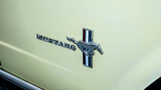 used 1966 Ford Mustang car