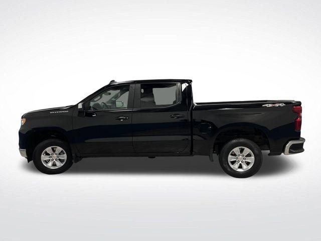used 2025 Chevrolet Silverado 1500 car, priced at $43,495