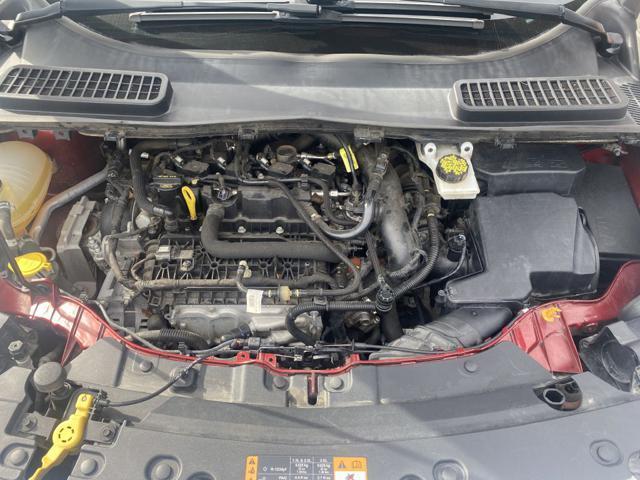 used 2019 Ford Escape car, priced at $14,995