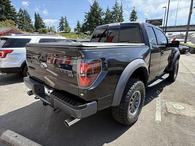 used 2010 Ford F-150 car