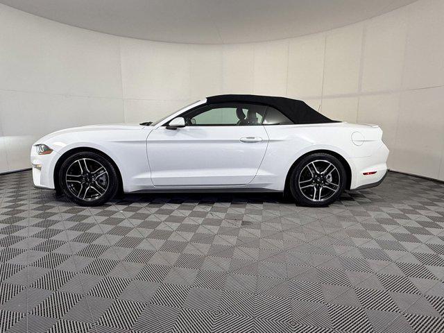 used 2022 Ford Mustang car, priced at $22,204